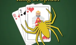 image bg King of Spider Solitaire