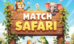 Safari Match image
