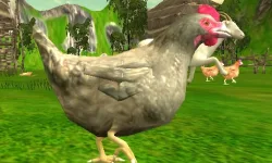image bg Chicken Shooting