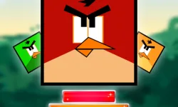 Jewel And Crazy Birds image