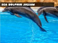 image bg Sea Dolphin Jigsaw