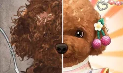 Pet Makeup Master image