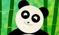 Panda Slide image