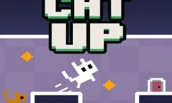Cat Up image