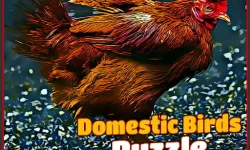 Domestic Birds Puzzle image