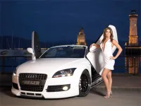 Miss Tuning - Show Girls Puzzle image