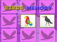 image bg Kids Memory Game - Birds