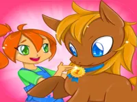 image bg Pony Run
