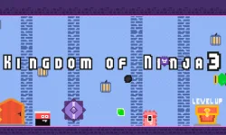 Kingdom of Ninja 3 image