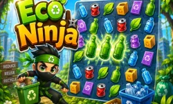 Eco Ninja image