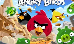 Angry Bird Jungle image