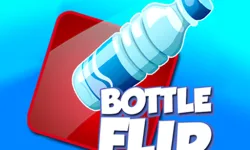 Bottle Flip Game image