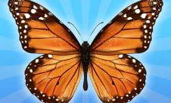 MergeButerfly: 2048! image
