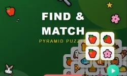 Find n Match image