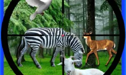 image bg Real Jungle Animals Hunting
