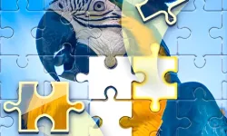 Puzzle Challenge image