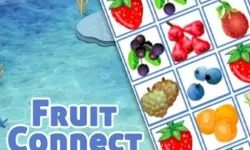 fruits connect image