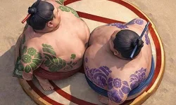 Sumo Wrestling Battle image