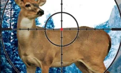Stag Hunter image