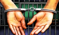 Prison Escape 2022 image
