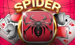 Spider Solitaire Plus image