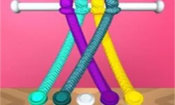Tangle Master 3D image