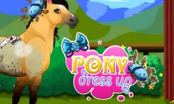 Pony Dress Up image