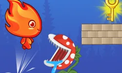 Fire Boy Run Adventure image
