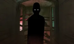 Survive The Night image