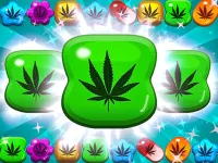 Jelly Jam Crush image