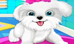 Puppy: Pet Salon & Dog Daycare image