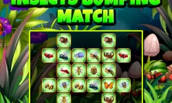 image bg Insects Bumping Match