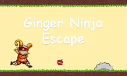 Ginger Ninja Escape image