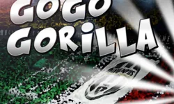 Go Go Gorilla image
