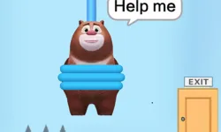 Save The Bear image