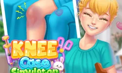 Knee Case Simulator image