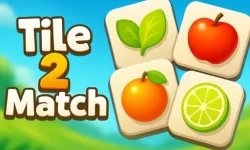 Tile 2 Match image
