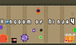 Kingdom of Ninja 4 image