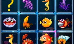 Sea Creatures Cards Match image