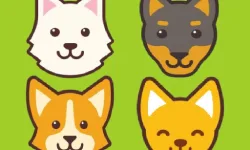 image bg Dog Sitter