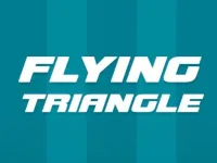 image bg Flying Triangle