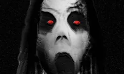 Slendrina Must Die: The Asylum image