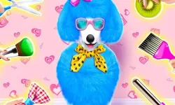 image bg Princess Pet Beauty Salon