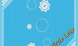 CircleLeap image