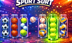 Sport Sort Puzzle image