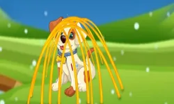 image bg Rescue the Doggy