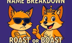 Name Breakdown Roast Or Boast image