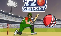 T20 Cricket image
