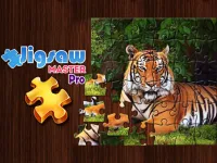 image bg Jigsaw Master Pro