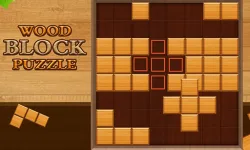Wood Block Puzzle Game image